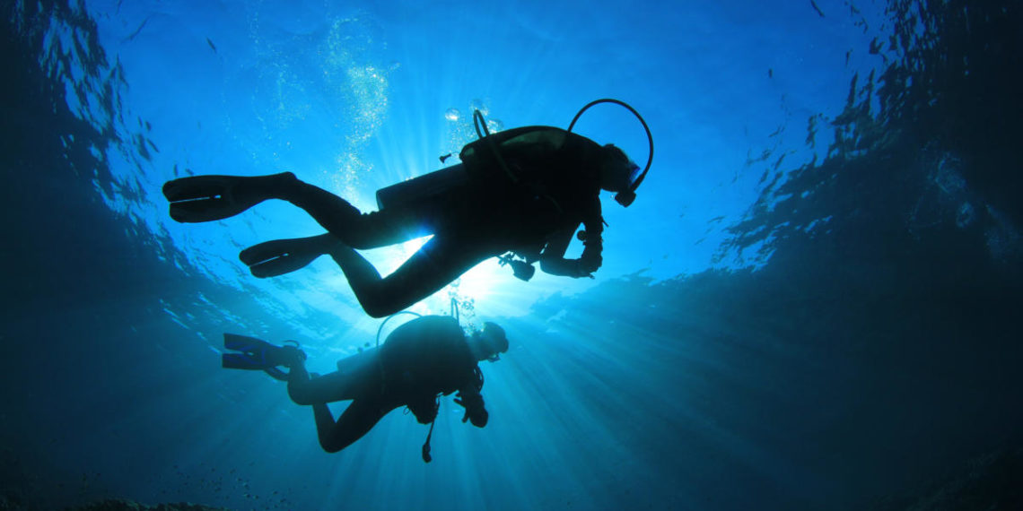 How IoT trackers can fight poachers