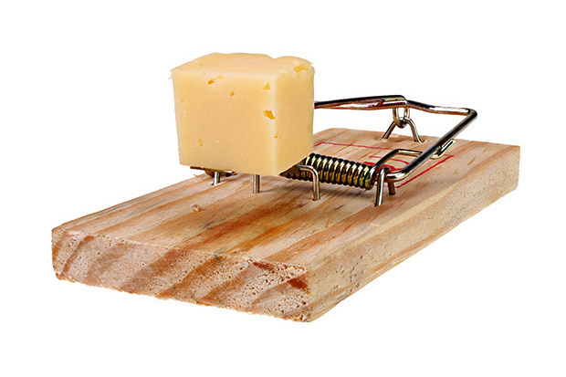 Pest-control IoT: Tough on rats